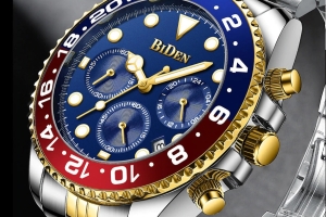 Biden Watch - Model 100105