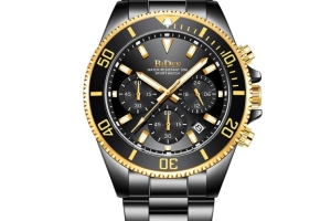 Biden Watch - Model 100503