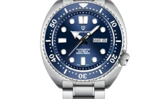 Pagani Watch - Model 100901CH