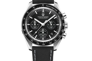 Pagani Watch - Model 400106CH